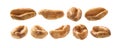 A set of aerial wheat. Isolated on a white background