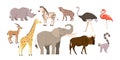Set Of African Animals And Birds. Fauna Of Africa Savanna. Rhino, Elephant, Giraffe, Flamingo, Zebra