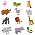 Set of african animals cartoon Royalty Free Stock Photo