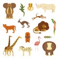 Set of African animals Royalty Free Stock Photo