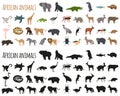 Set of African animals in flat style and silhouettes Royalty Free Stock Photo