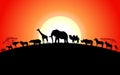 Set of african animals silhouette on sunset