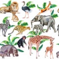 Set of african animals with tropical leaves isolated on white background. Illustration. Watercolor Royalty Free Stock Photo