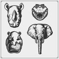 Set of african and jungle animals. Crocodile, hippo, elephant and rhino. Royalty Free Stock Photo