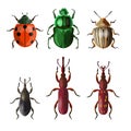 Agricultural insect pests