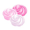 set of pink meringue, marshmallow, zefir. vector in graphic vintage, retro. sweetness, cake, dessert. for cafe, sweet