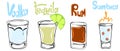 Set of alcoholic shot glases. Hand drawn glasses of vodka, tequila, rum and sambuca Royalty Free Stock Photo