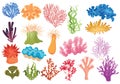 Set of algae. Collection of cartoon algae. Vector illustration for children of underwater plants. Royalty Free Stock Photo