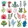 Set of algae. Collection of cartoon algae. Vector illustration for children of underwater plants. Royalty Free Stock Photo
