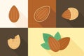 Set of almond nuts and shells in four color blocks Royalty Free Stock Photo