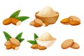 Set almond in nutshell with leaves detailed raw nut, almond powder in bowl organic product, ingredient in cartoon style