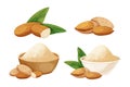 Set almond in nutshell with leaves detailed raw nut, almond powder in bowl organic product, ingredient in cartoon style Royalty Free Stock Photo