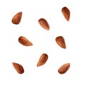 Set of almonds. Watercolor illustration isolated on white background