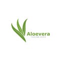 Set of aloevera logo template vector icon Royalty Free Stock Photo