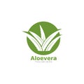 Set of aloevera logo template vector icon Royalty Free Stock Photo