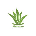 Set of aloevera logo template vector icon Royalty Free Stock Photo