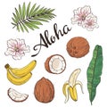 Set of aloha objects - coconut, banana, flowers and leaves.