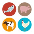 set amimals butcher products Royalty Free Stock Photo