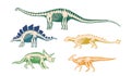 Set of Ancient Dinosaur Bones, Skeleton Fossils For Scientific Articles, History Books, And Materials about Discovery