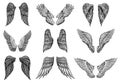 Set of Angel wings in vintage style. Template for tattoo and emblems, t-shirts and logo. Emblem for stickers. Engraved