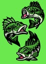 Set of angry cartoon largemouth bass fish Royalty Free Stock Photo