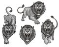 Set of angry, roar lion. Predator animal. Lion king color logo.