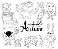 Set of animal in autumn cartoon doodle style.