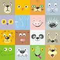 Set of Animal Faces Flat Style Vector Illustration Royalty Free Stock Photo