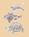 Set of animal, hand draw sketch vector