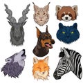 Set of animal heads isolated on a white background. Vector graphics Royalty Free Stock Photo