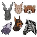 Set of animal heads isolated on a white background. Vector graphics Royalty Free Stock Photo