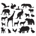 set of animal icons. Vector illustration decorative design