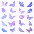 A set of animal images are insulated in blue and pink tones on a