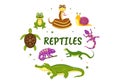 Set of Animal Reptile Template Hand Drawn Cartoon Flat Illustration with Various Types of Reptiles Animals Concept Royalty Free Stock Photo