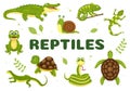 Set of Animal Reptile Template Hand Drawn Cartoon Flat Illustration with Various Types of Reptiles Animals Concept Royalty Free Stock Photo