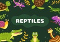 Set of Animal Reptile Template Hand Drawn Cartoon Flat Illustration with Various Types of Reptiles Animals Concept Royalty Free Stock Photo