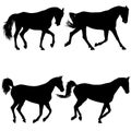 Set animal silhouette of black mustang horse illustration Royalty Free Stock Photo