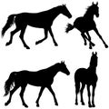 Set animal silhouette of black mustang horse illustration Royalty Free Stock Photo