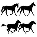 Set animal silhouette of black mustang horse illustration Royalty Free Stock Photo