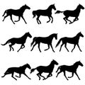 Set animal silhouette of black mustang horse illustration Royalty Free Stock Photo