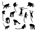Ape and Monkey collection - vector silhouette. Royalty Free Stock Photo