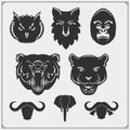 Set of animal silhouettes. Savannah, forest, jungle animals. Design template for emblems, stickers and logos.