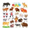Set with animal symbols 2021 according to Eastern calendar, vector illustration. Mammals character different types