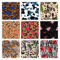 A set of animalistic prints combined with plant elements and tropical butterflies. Set of seamless patterns. 9  images Royalty Free Stock Photo