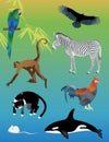 Set of animals