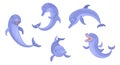 Set of animals dolphins. Vector isolated characters on white background. Royalty Free Stock Photo