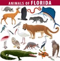 set - animals of Florida: barred owl, key deer, osprey, snail kite, opossum, coral snake, Everglades rat snake, Puma Cougar, rac