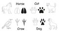 Set of animals Horse, Cat, Dog, Crow and their Footprints. Black and white drawing. Outline, silhouette. Vector isolated Royalty Free Stock Photo