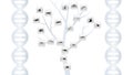 Evolution tree illustration Royalty Free Stock Photo