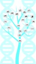 Evolution tree illustration Royalty Free Stock Photo